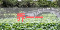 乔一一的名字解释-寓意-含义,乔一一名字的总评