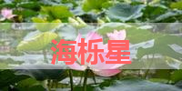 海栎星的名字解释-寓意-含义,海栎星名字的总评