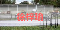 徐梓瑜的名字解释-寓意-含义,徐梓瑜名字的总评